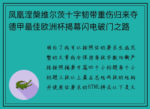 凤凰涅槃维尔茨十字韧带重伤归来夺德甲最佳欧洲杯揭幕闪电破门之路
