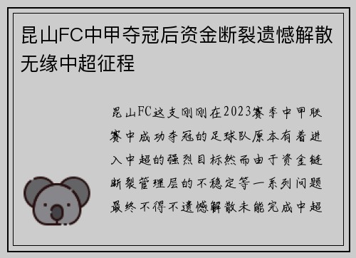 昆山FC中甲夺冠后资金断裂遗憾解散无缘中超征程