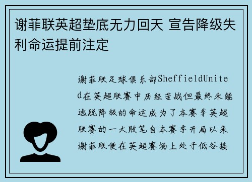 谢菲联英超垫底无力回天 宣告降级失利命运提前注定